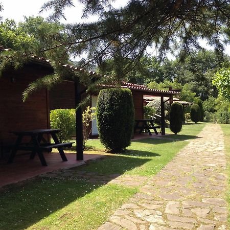 Camping Ecologic Lava Santa Pau Bagian luar foto