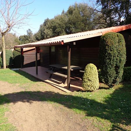 Camping Ecologic Lava Santa Pau Bagian luar foto